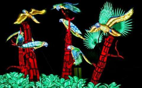 Enjoy La Vie en Voie d'Illumination's Bold Zoological Lanterns