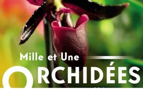 Mille et une orchidées, the exhibition at the Jardin des Plantes