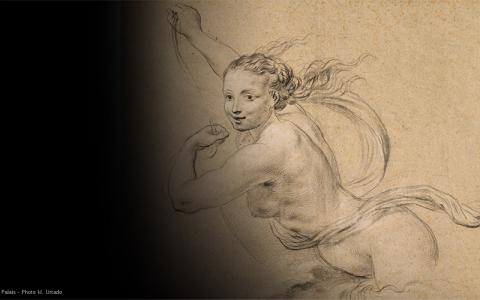 Drawing Greatness  The Art of Sketching in the Republic of Genoa