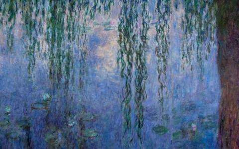 The Water Lilies. American Abstract Painting and the last Monet