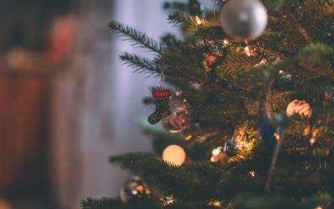 Enjoy A Christmas Vacation With The Kids In Paris