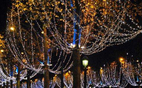 Christmas windows and illuminations; a festive dream