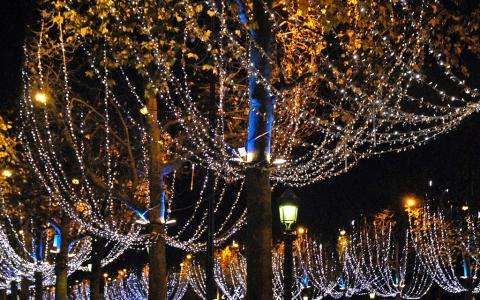 Vitrines et illuminations de Noël, un rêve éveillé