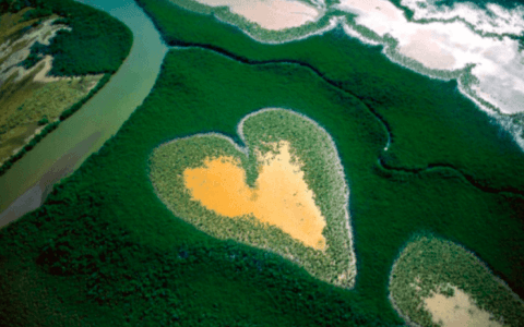 Explore The Changing Natural World With Yann Arthus Bertrand