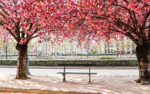 Well-Being Stay and the Sweetness of Life: Early Spring at Hôtel Motte Picquet