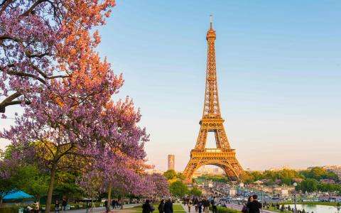 Spring in Paris: Blooming Walks and the Exhibition “Les Fleurs d'Yves Saint Laurent